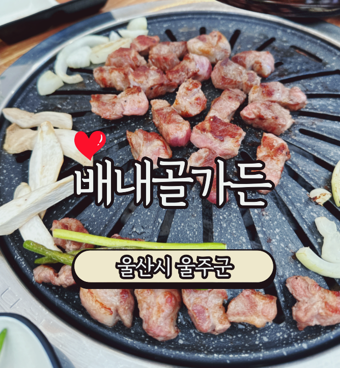 배내골흑염소 이미지