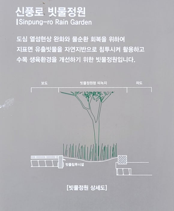 비행기노래광장 이미지