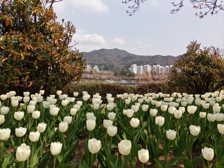 대진관광여행사 이미지