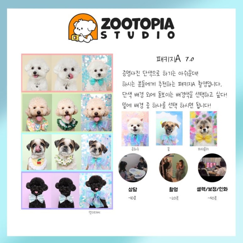 주토피아스튜디오 이미지