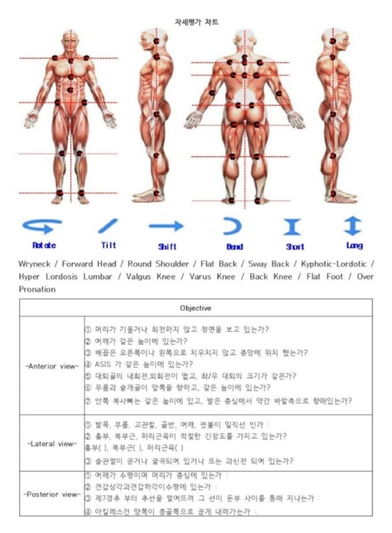 헬스엔젤스필라테스 이미지