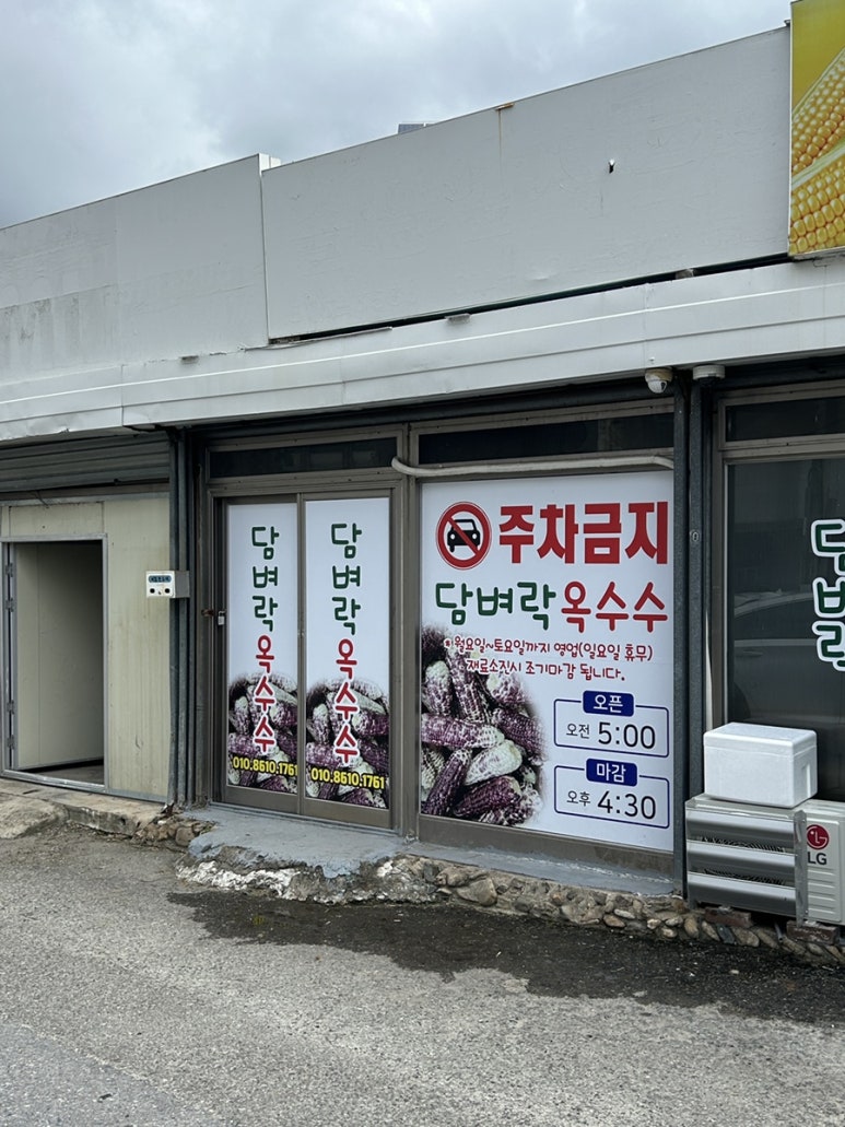 담벼락옥수수 이미지