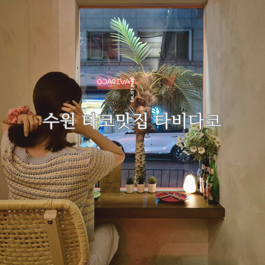 타비다코 이미지