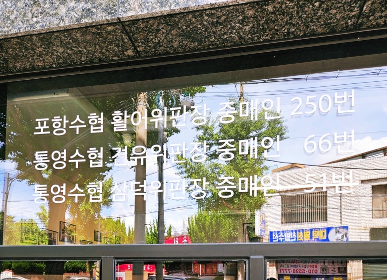 ６６번중매인 이미지