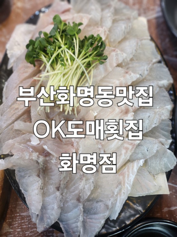 오늘도매횟집 이미지