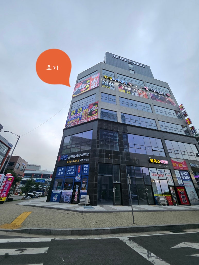 똥광노래타운 이미지