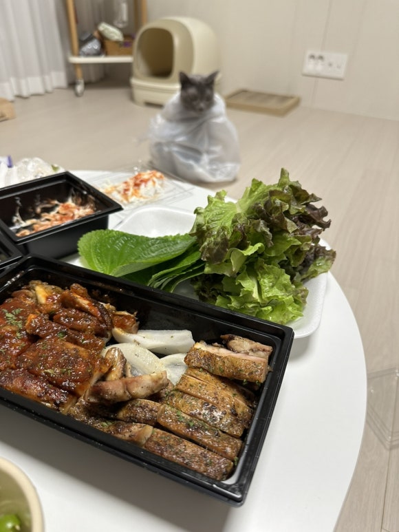 닥스치킨 이미지