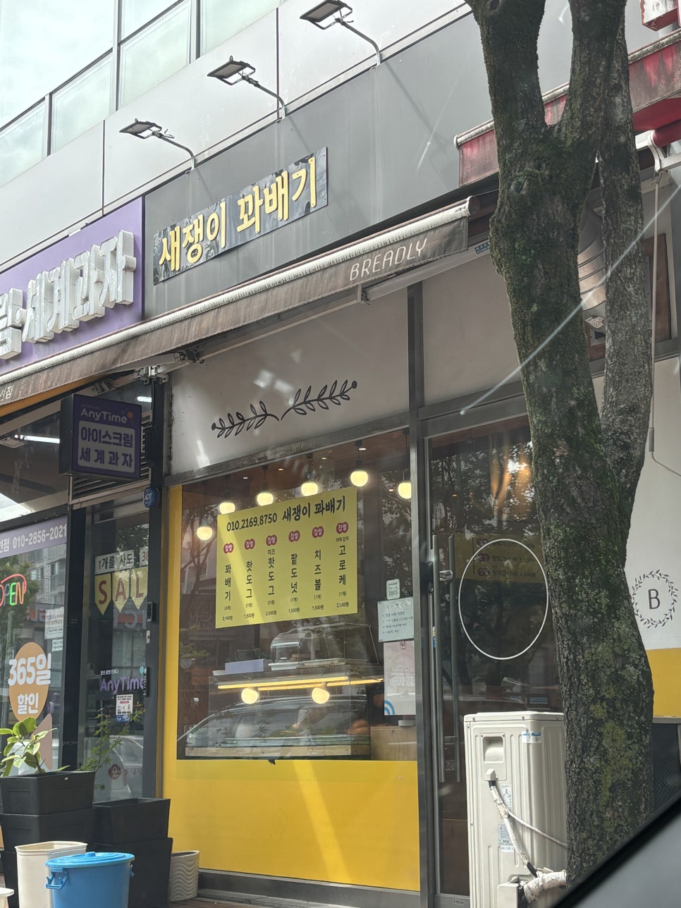 새쟁이꽈배기 이미지