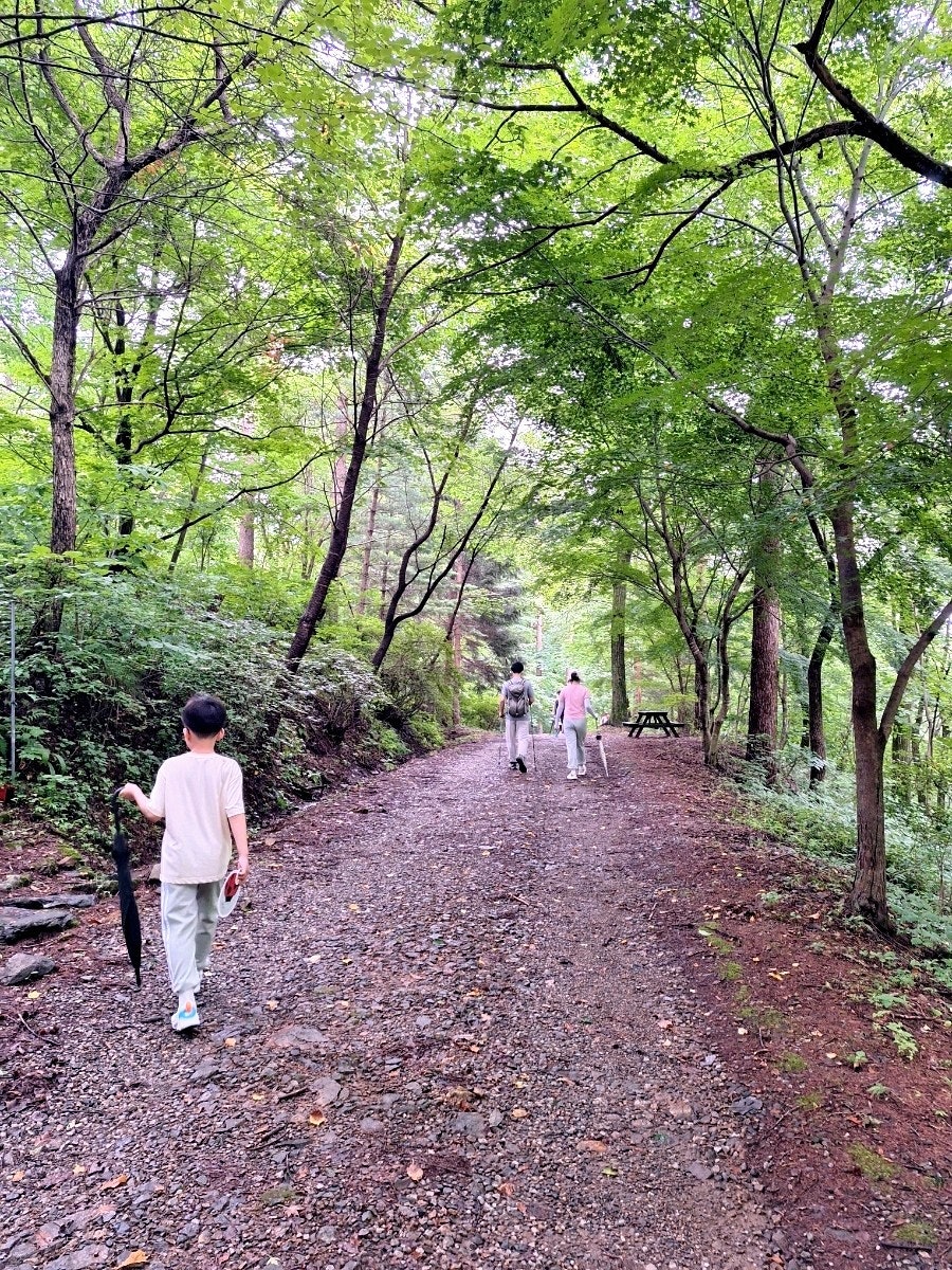 비로야영장 이미지