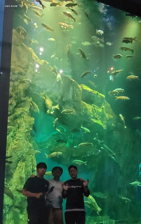 테마하우스도현펜션 이미지