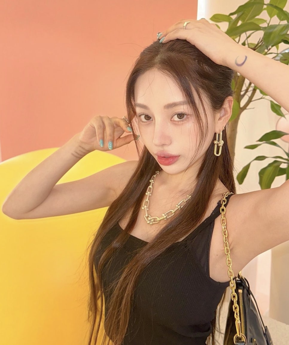 에드비 이미지