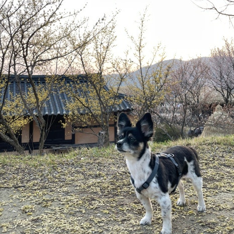 외암에어컨 이미지