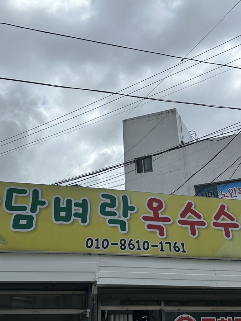 담벼락옥수수 이미지