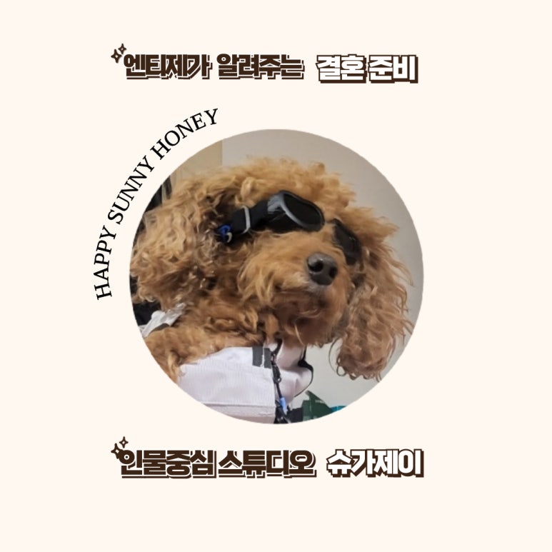에스티헤어(ST헤어) 이미지