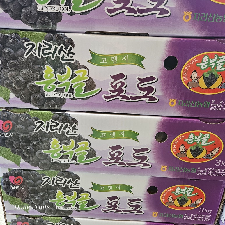 흥부골 아영포도 이미지