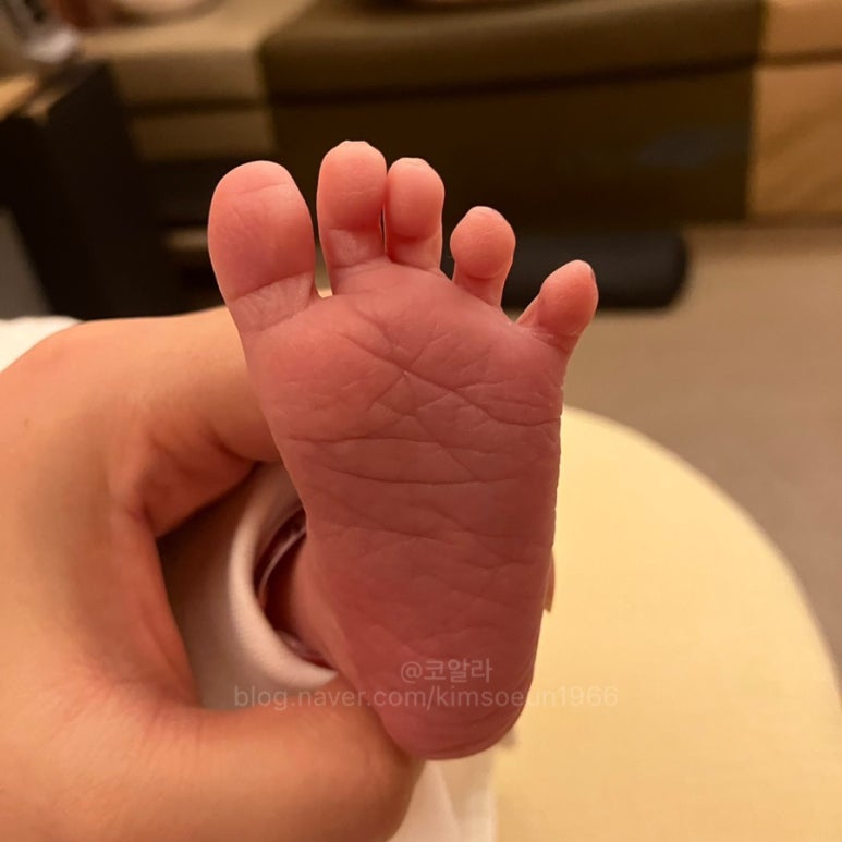 율산부인과의원 이미지