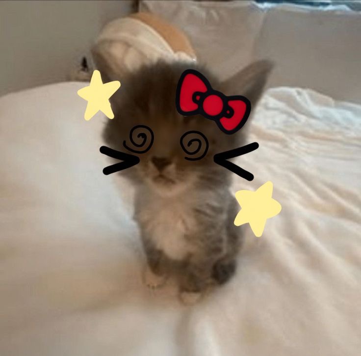럭키상회 이미지