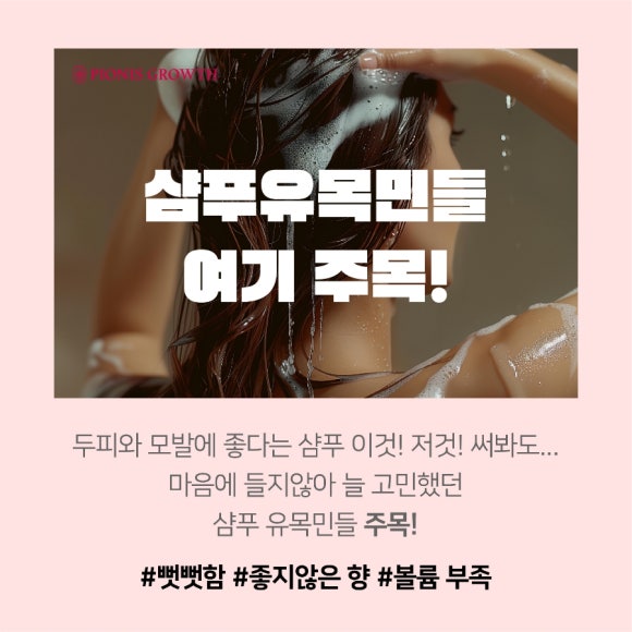 민트니스 이미지