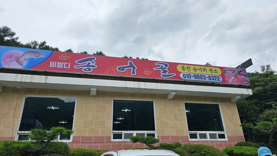 비발디송어골 이미지