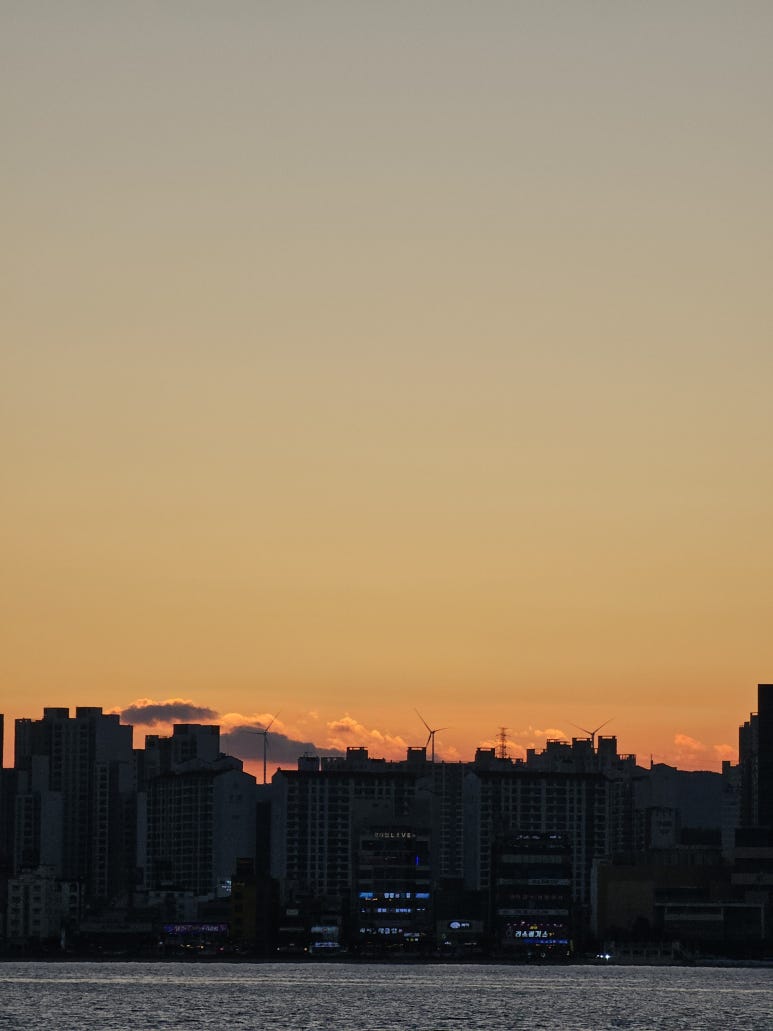 박선장요트투어 이미지