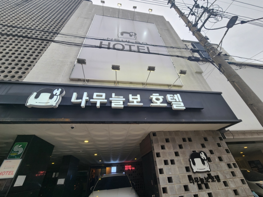나무늘보호텔 이미지