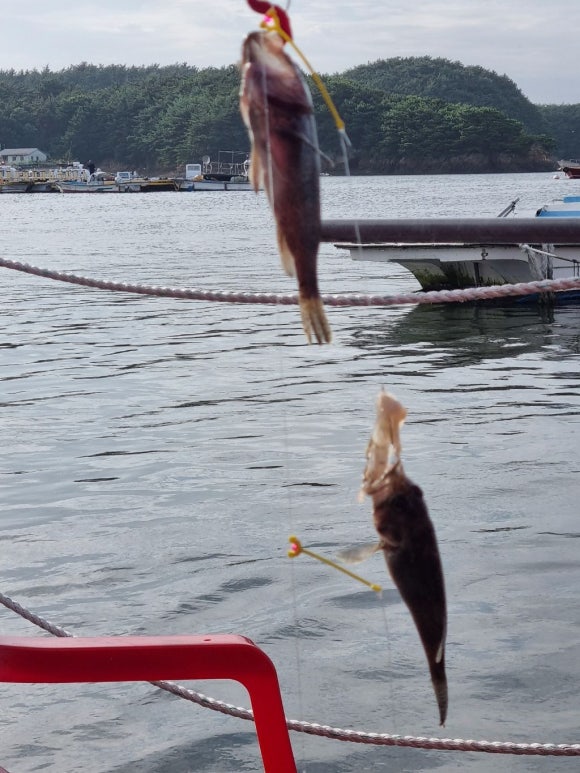 바다친구 이미지