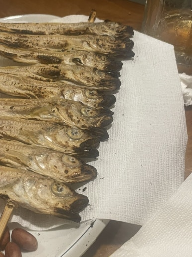 찐수니네 이미지