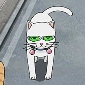 카페나와 이미지