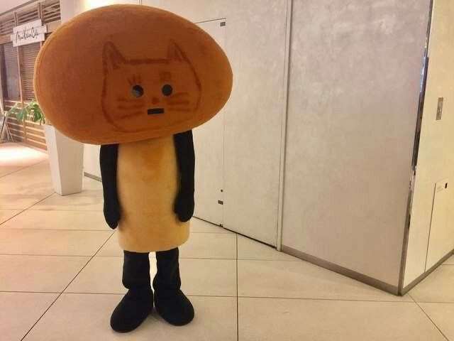 빛나는바다 이미지