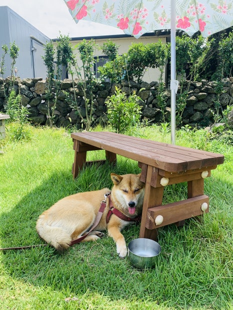 고추냉이식당 사진 7