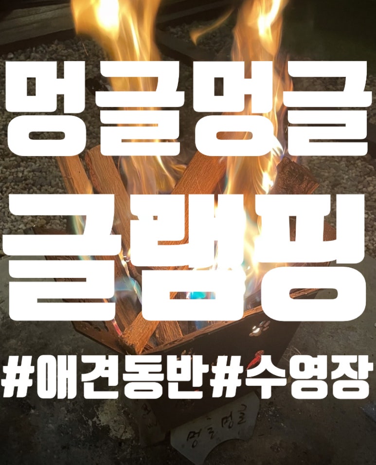 멍글멍글펫글램핑 이미지