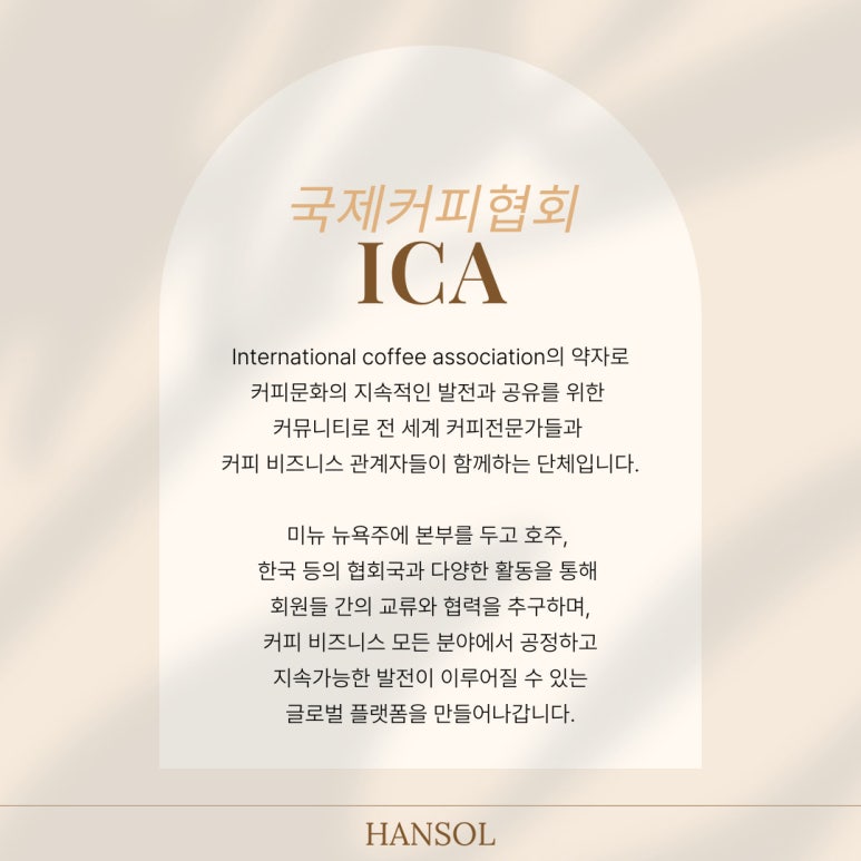 국제커피교류협회 이미지