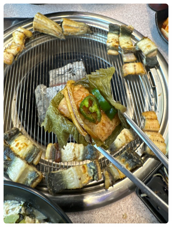 중앙풍천장어 이미지