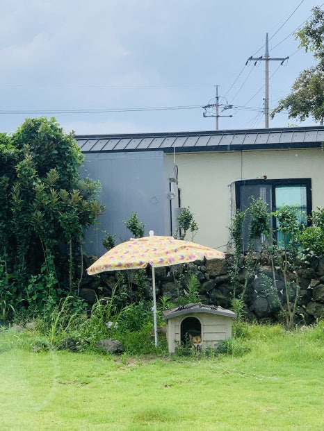 고추냉이식당 사진 6