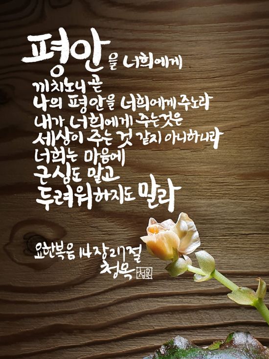 복음신발 이미지