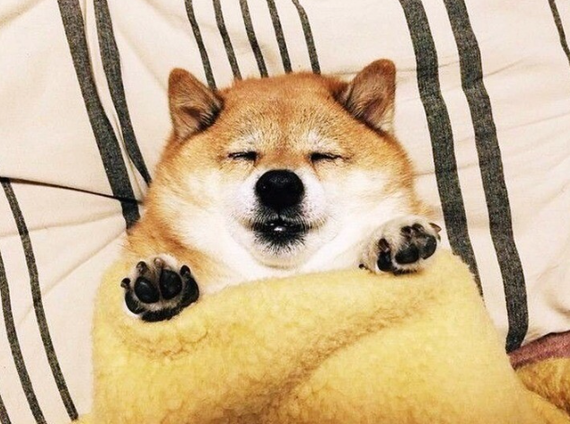 스킨바 수지성복점 이미지