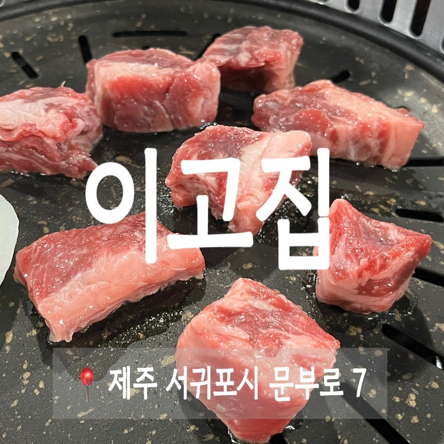 서귀포이고집 이미지