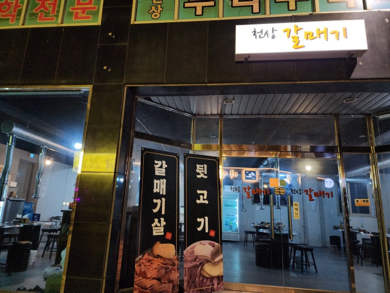 천상갈매기 이미지