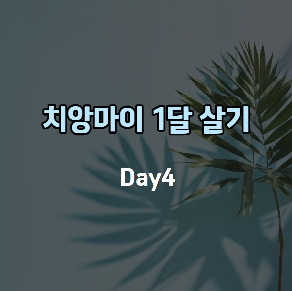 붐토스트 이미지
