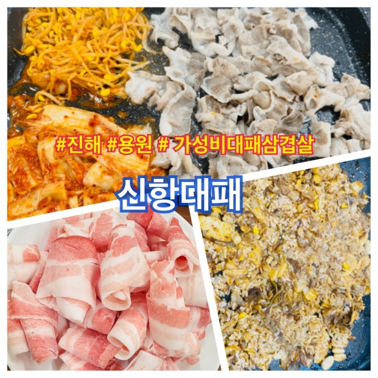 신항대패 이미지
