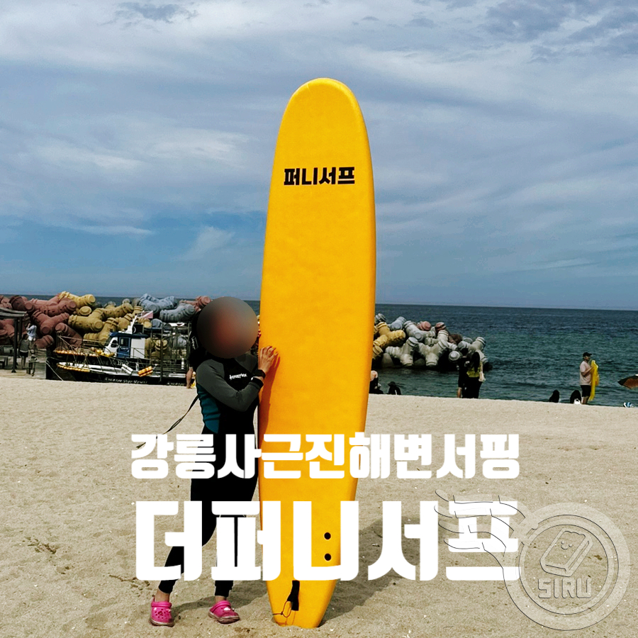 더퍼니서프 이미지