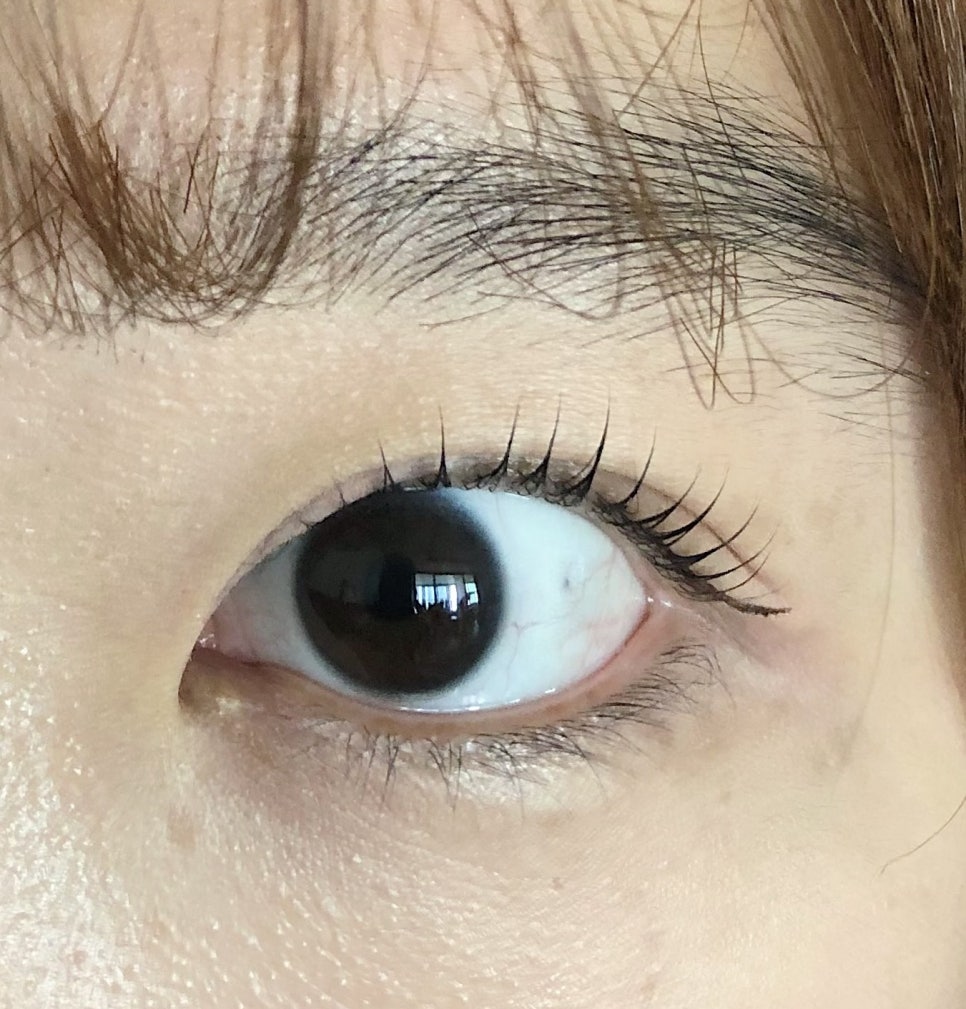 공드린 뷰티 이미지