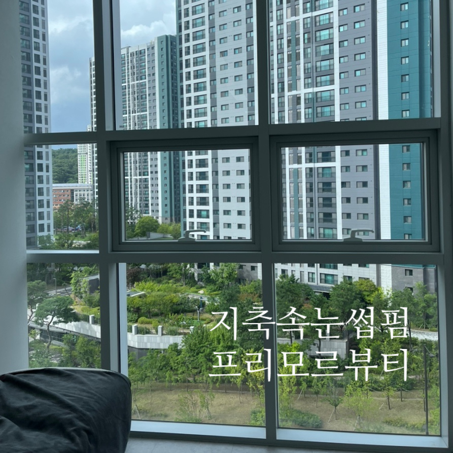 프리모르 이미지