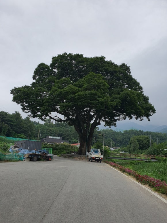 소산원주 이미지
