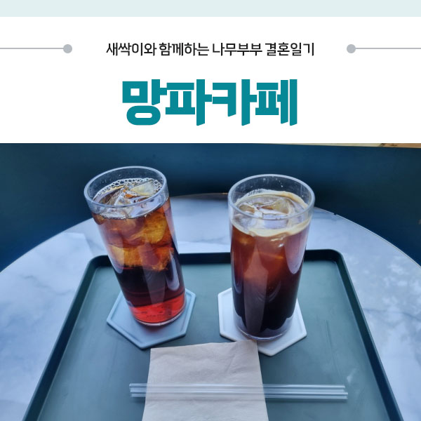 망파카페 이미지