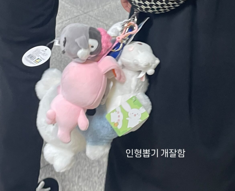 토피아인형뽑기 이미지