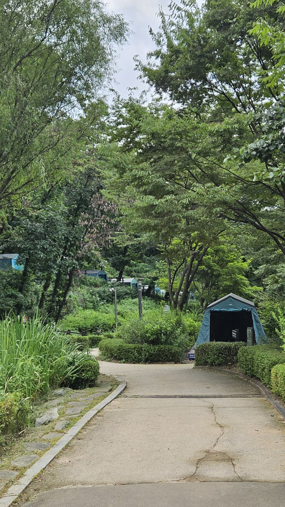 일자산공원 유아숲체험원 이미지