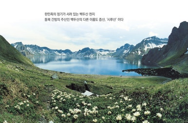 용화만물 이미지