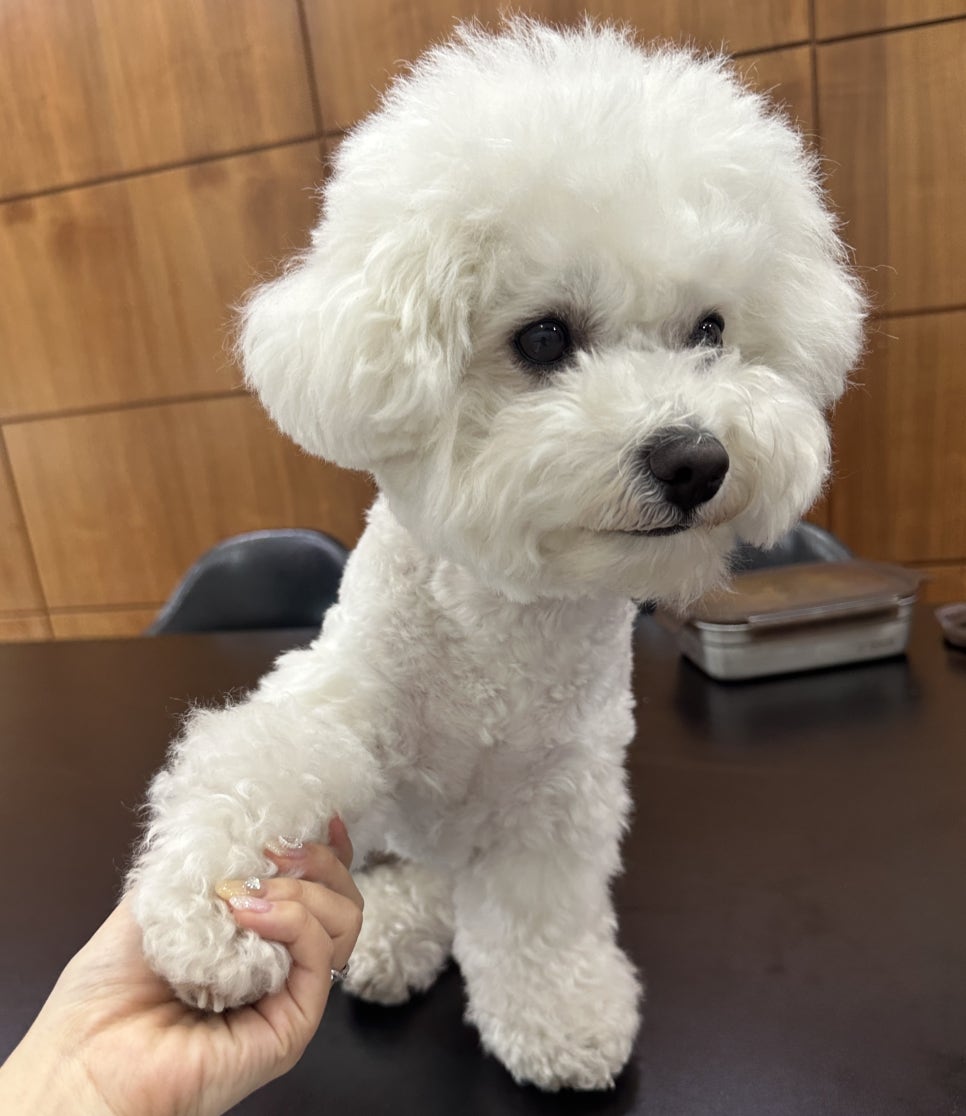 왼발오른발 이미지