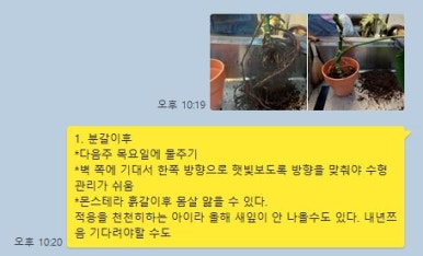 허밍그린 이미지